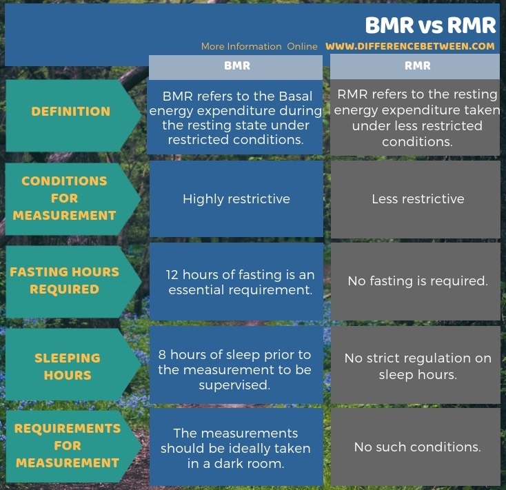 Difference Between BMR and RMR in Tabular Form