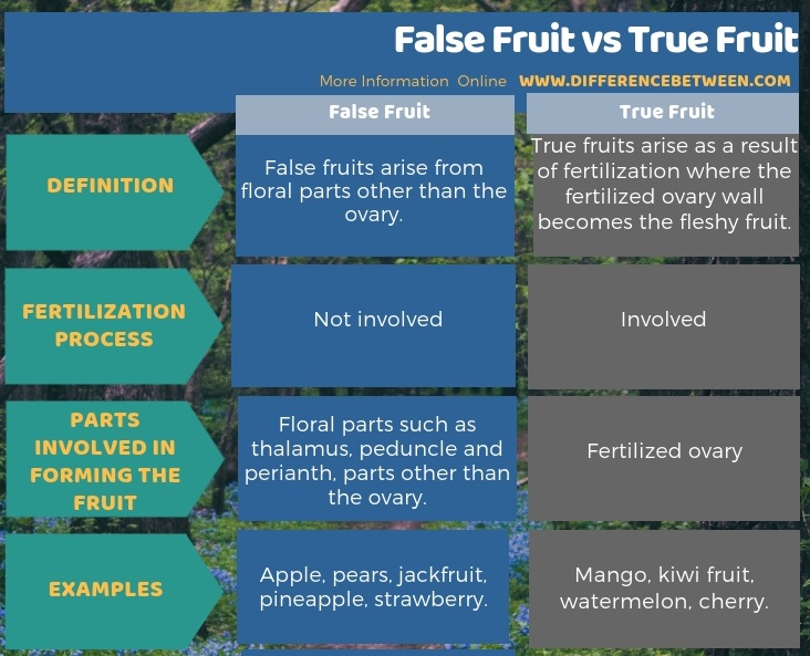 Difference Between False Fruit and True Fruit in Tabular Form