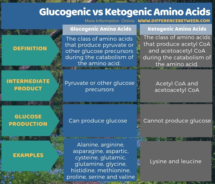 Difference Between Glucogenic and Ketogenic Amino Acids in Tabular Form