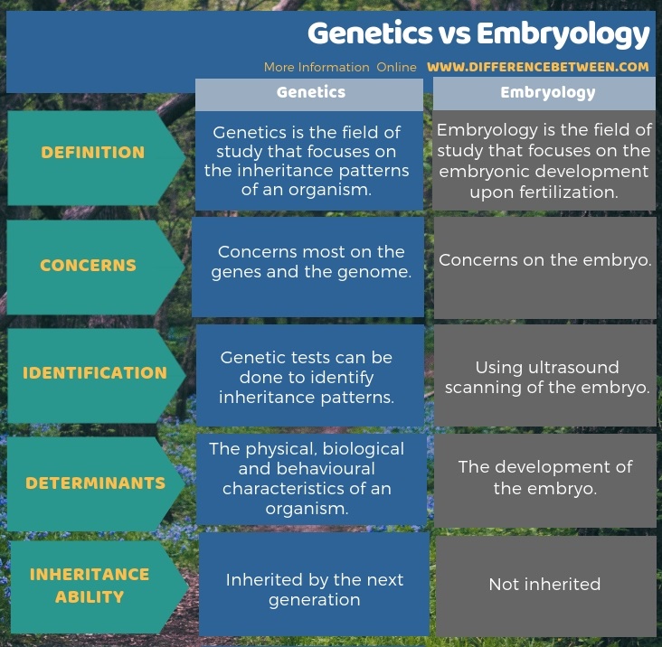 Difference Between Genetics and Embryology in Tabular Form