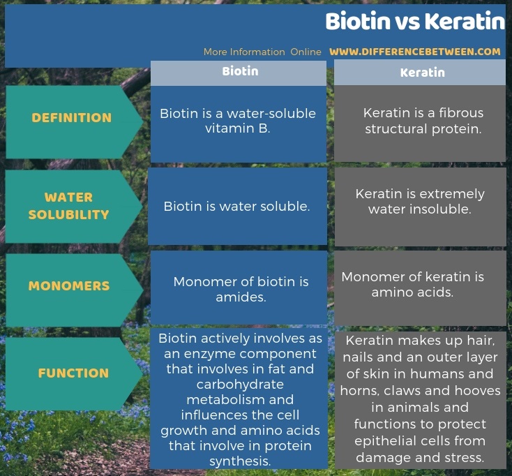 Difference Between Biotin and Keratin in Tabular Form