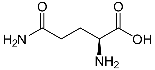 Difference Between Glutamine and L-Glutamine