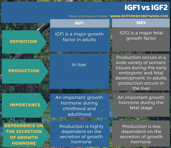 Difference Between IGF1 and IGF2 in Tabular Form