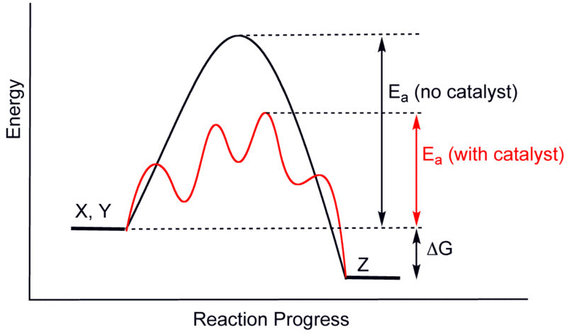 Difference Between Catalyst and Reagent