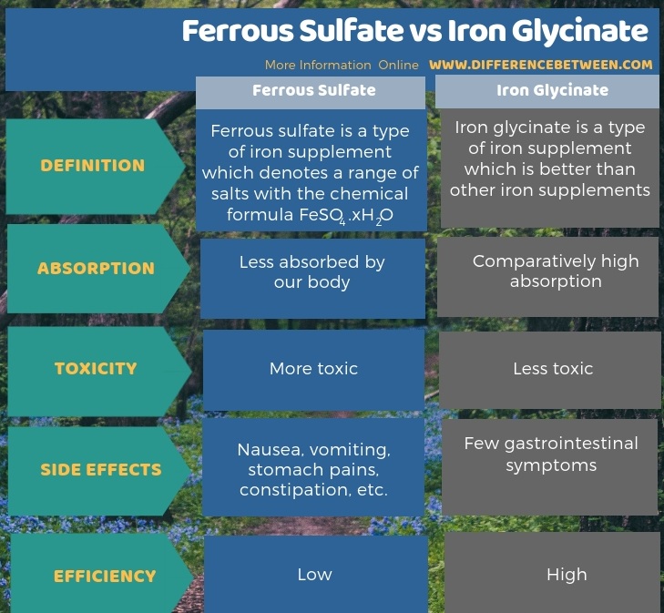 Difference Between Ferrous Sulfate and Iron Glycinate in Tabular Form