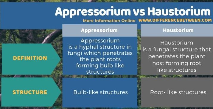 Difference Between Appressorium and Haustorium in Tabular Form