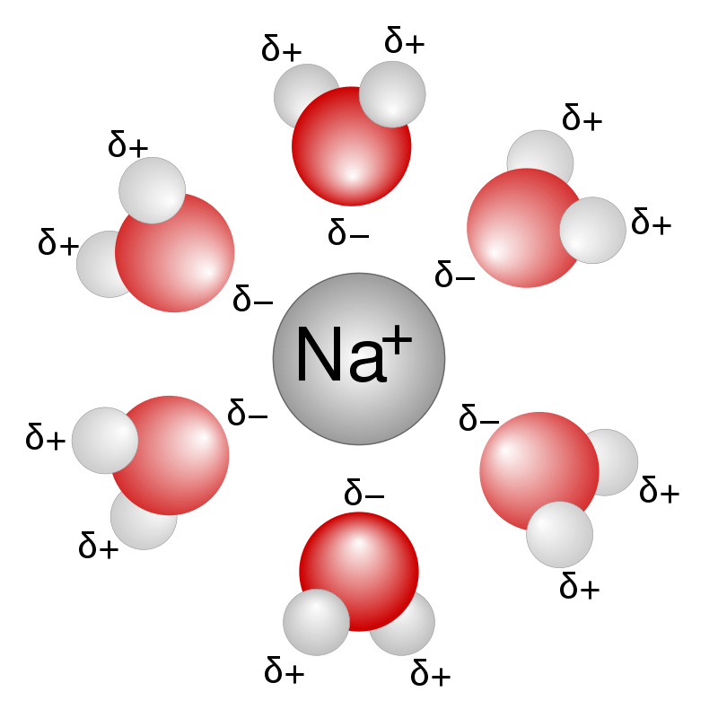 Difference Between Aqueous and Nonaqueous Solution