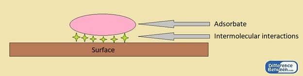 Key Difference - Chemisorption vs Physisorption