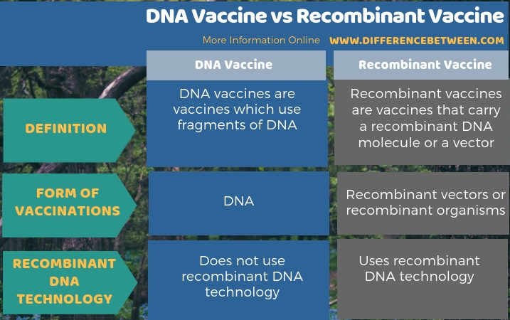 Difference Between DNA Vaccine and Recombinant Vaccine in Tabular Form