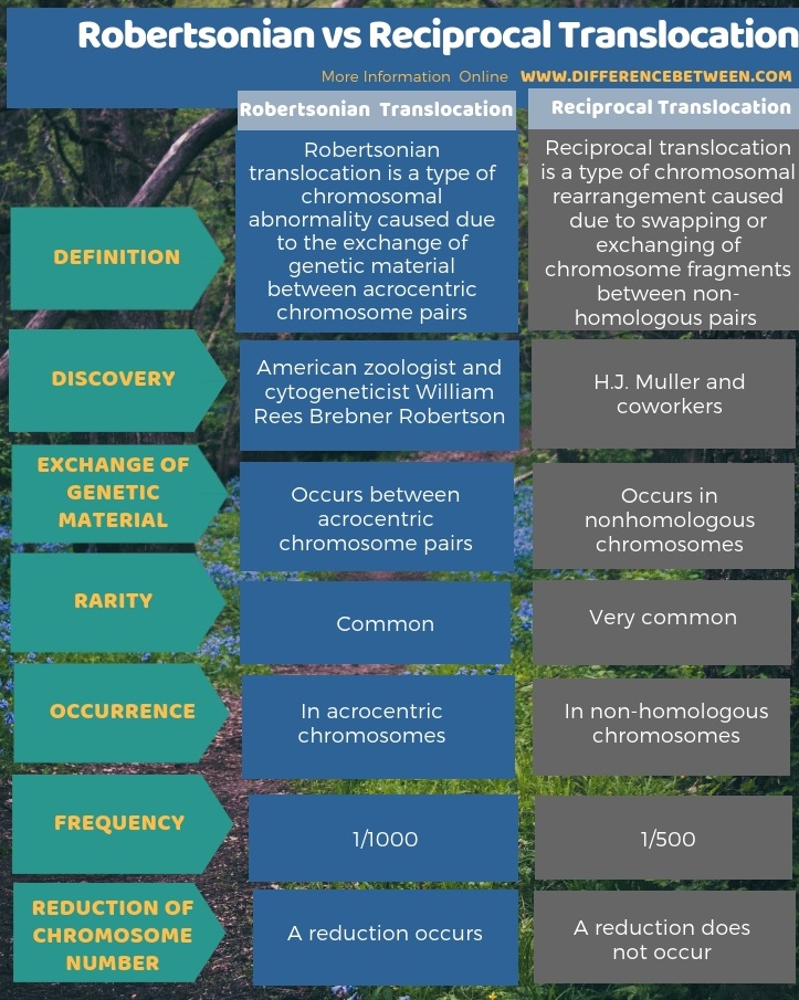 Difference Between Robertsonian and Reciprocal Translocation in Tabular Form