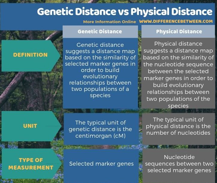 Difference Between Genetic Distance and Physical Distance - Tabular Form