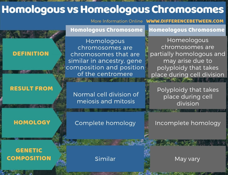 Difference Between Homologous and Homeologous Chromosomes - Tabular Form