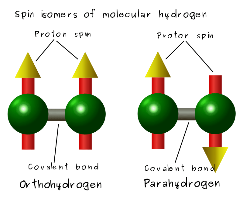 Difference Between Ortho and Para Hydrogen