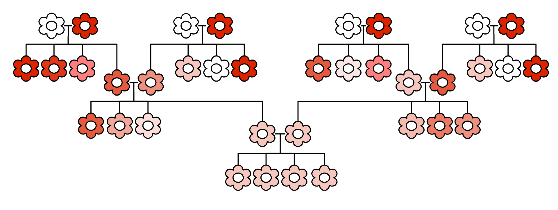 Key Difference - Blending Theory vs Mendelian Inheritance Theory