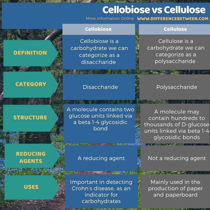 Difference Between Cellobiose and Cellulose in Tabular Form