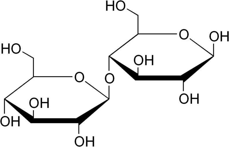 Difference Between Cellobiose and Cellulose