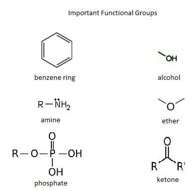 Key Difference - Functional Group vs Substituent
