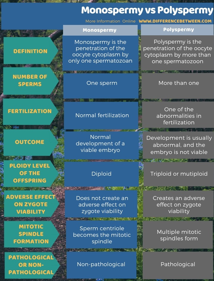 Difference Between Monospermy and Polyspermy in Tabular Form