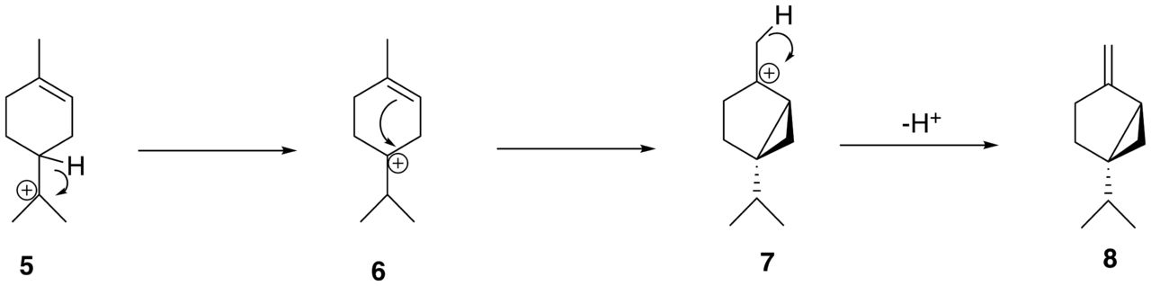 Difference Between Hydride and Methyl Shift