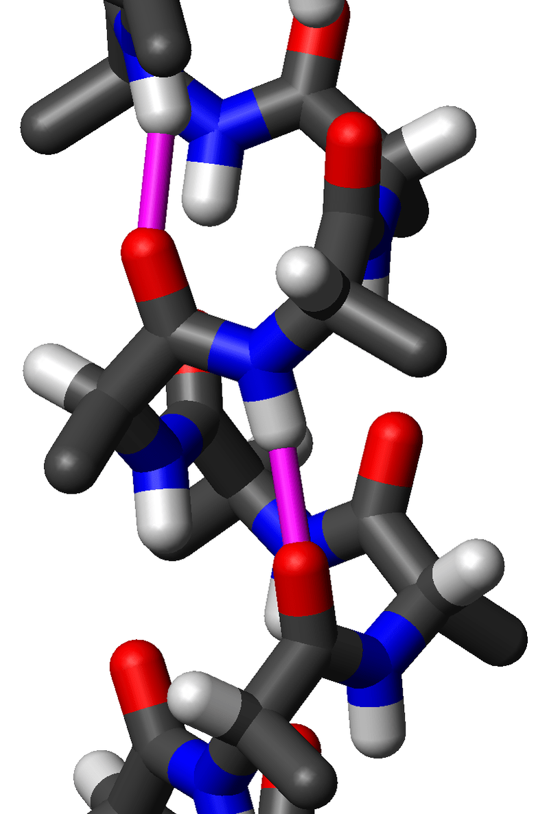 Difference Between Oligopeptide and Polypeptide