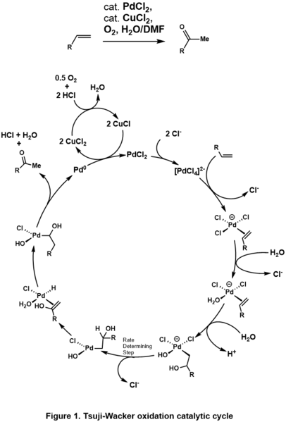 Difference Between Oxo and Wacker Process