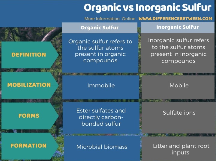 Difference Between Organic and Inorganic Sulfur in Tabular Form