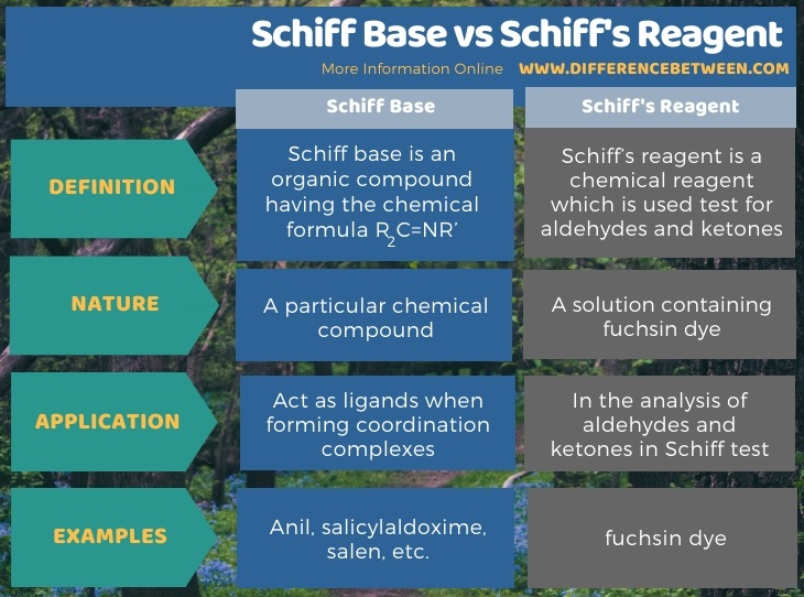 Difference Between Schiff Base and Schiff's Reagent in Tabular Form