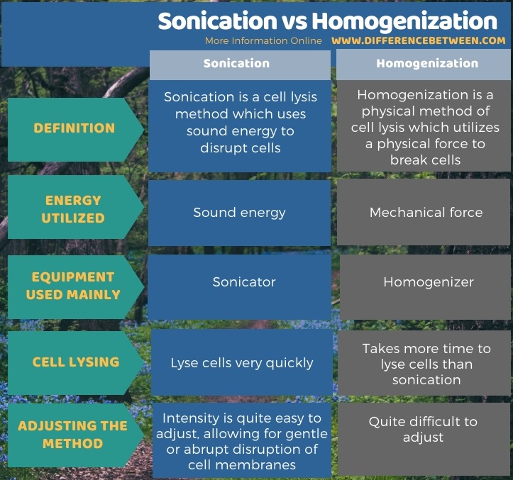 Difference Between Sonication and Homogenization in Tabular Form