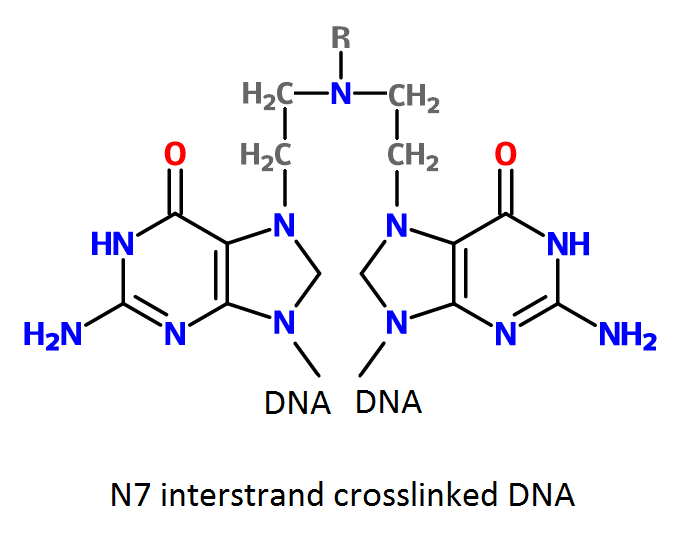 Key Difference - Linear vs Nonlinear Molecules