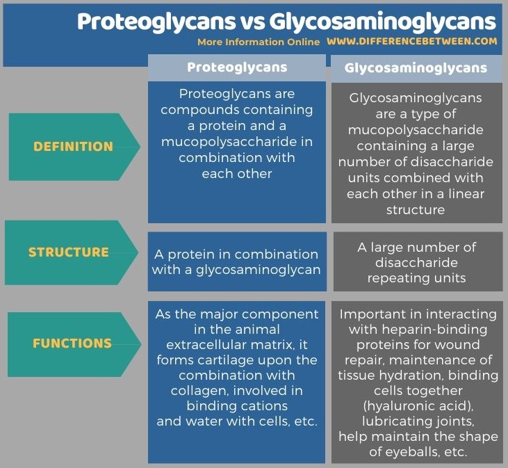 Difference Between Proteoglycans and Glycosaminoglycans in Tabular Form