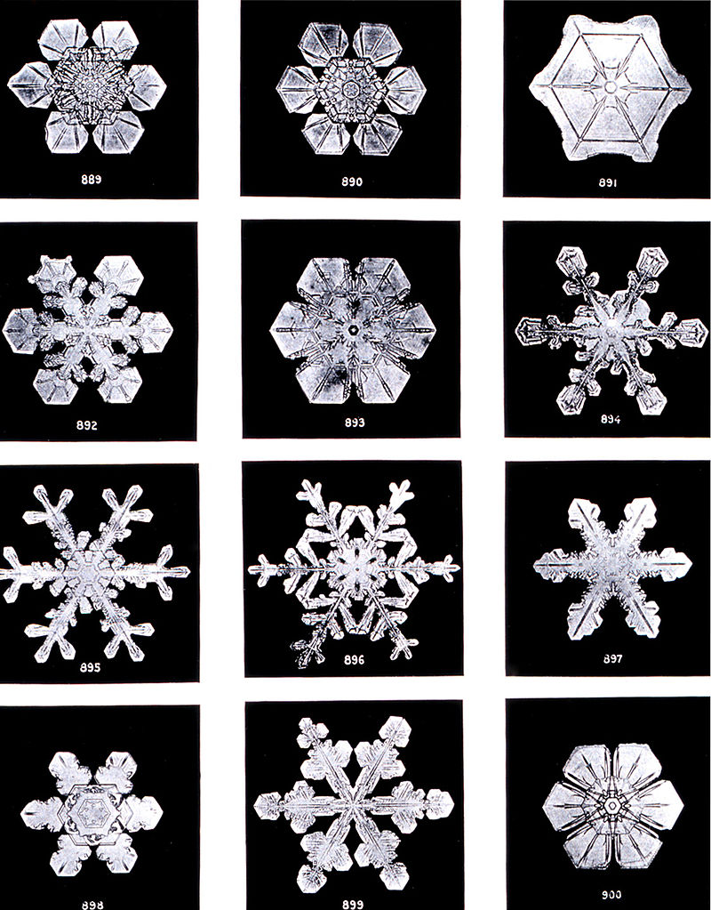 Key Difference - Heat of Fusion vs Crystallization