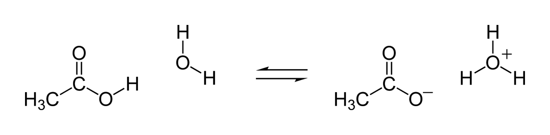 Key Difference - True vs Potential Electrolyte