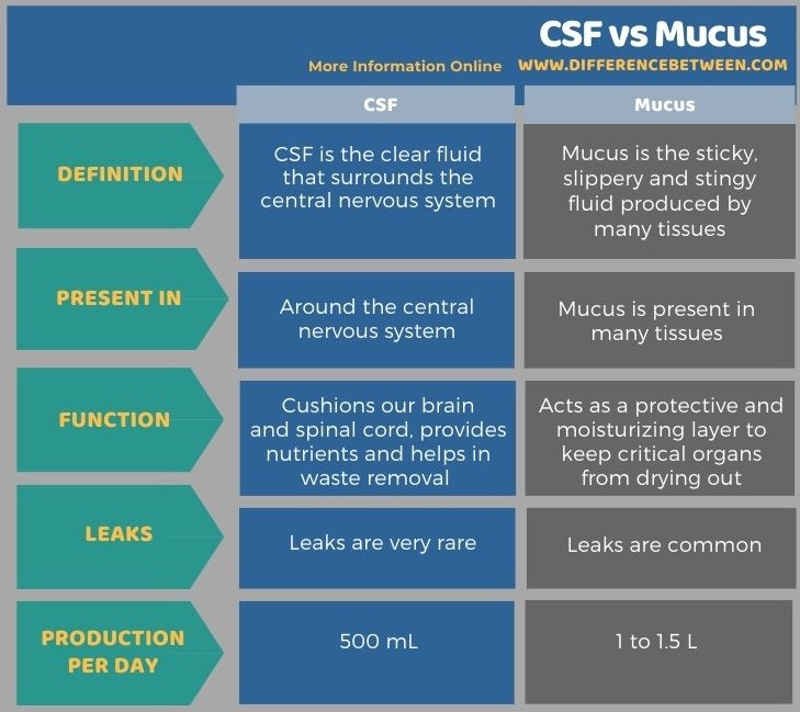 Difference Between CSF and Mucus in Tabular Form