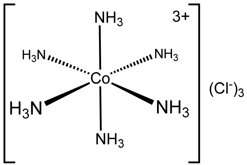 Key Difference - dπ-dπ Bond vs Delta Bond