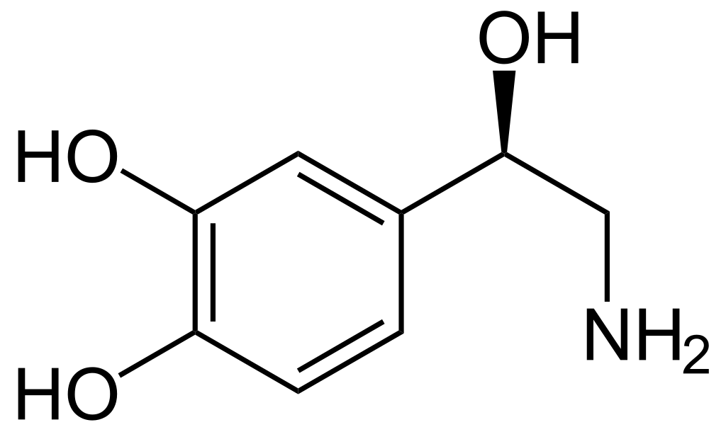 Difference Between Catecholamines and Noncatecholamines