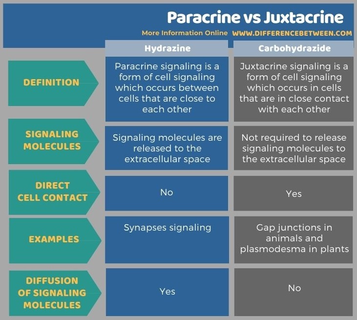 Difference Between Paracrine and Juxtacrine in Tabular Form