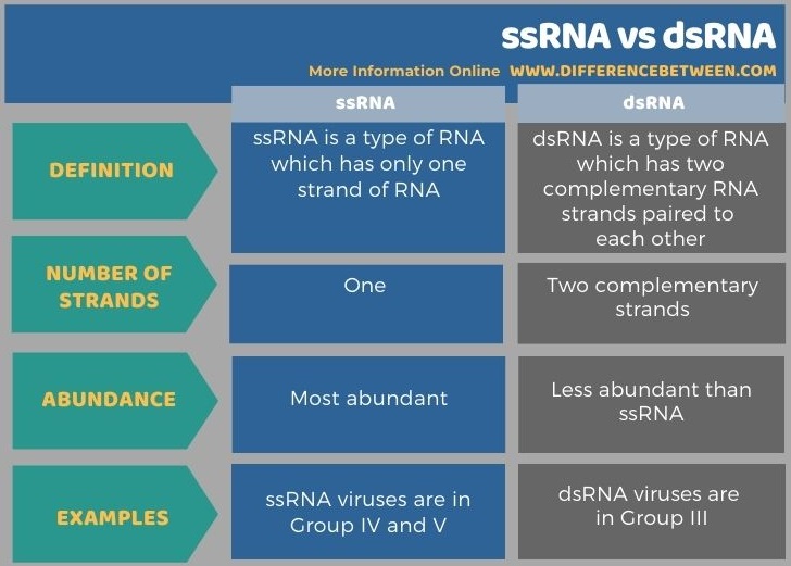 Difference Between ssRNA and dsRNA in Tabular Form