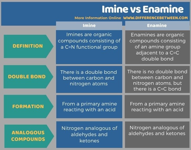 Difference Between Imine and Enamine in Tabular Form