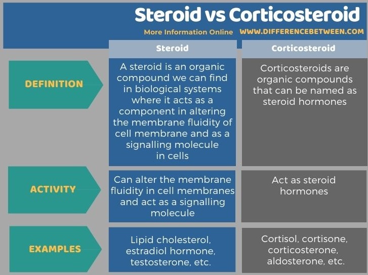 Difference Between Steroid and Corticosteroid in Tabular Form