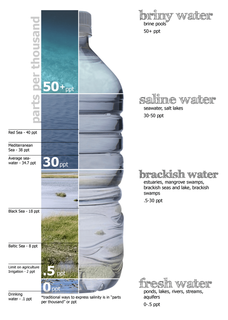 Difference Between TDS and Salinity