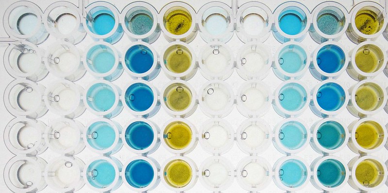 Colorimetric vs Fluorometric Assay