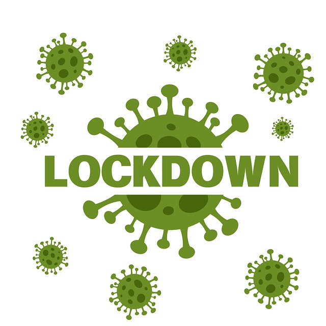 What is Lockdown