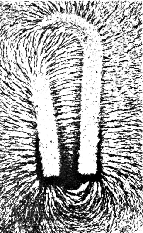 Compare Electric Field and Magnetic Field