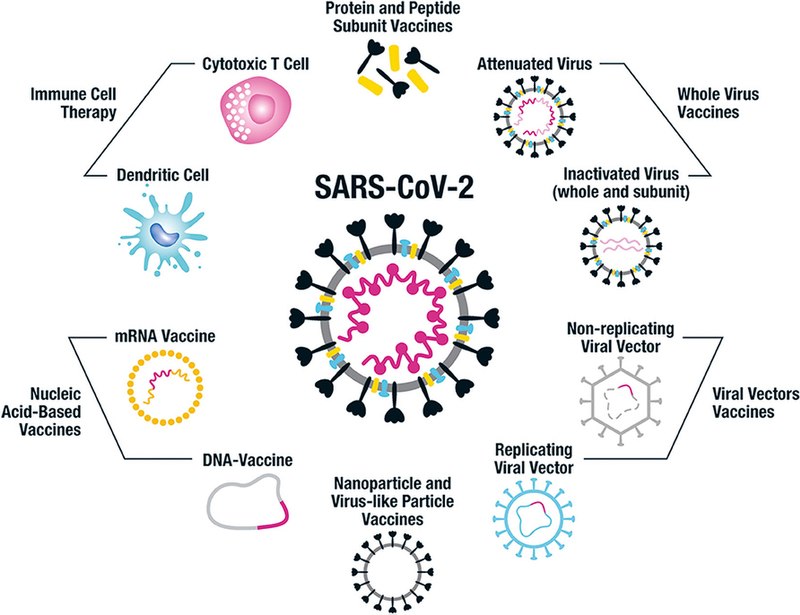 Self vs Non Self Antigens in Tabular Form