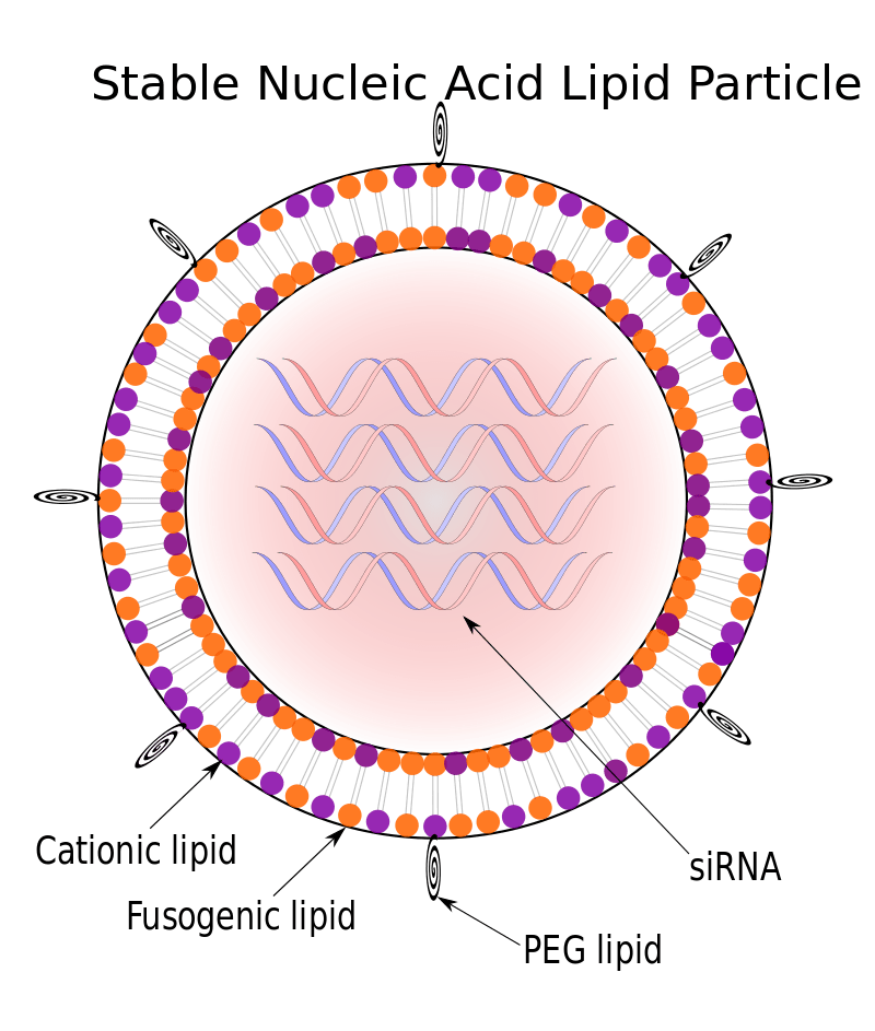 Viral and Nonviral Vectors - Side by Side Comparison 