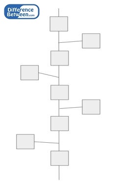 Blockchain vs Hashgraph in Tabular Form