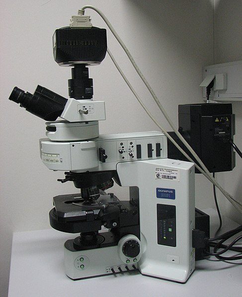 Fluorescence Microscopy vs Confocal Microscopy in Tabular Form