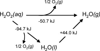 Elementary and Complex Reaction - Side by Side Comparison 