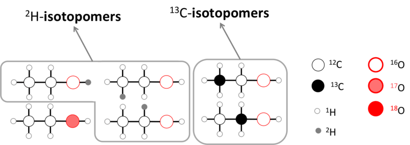 Isotopomer vs Isotopologue in Tabular Form