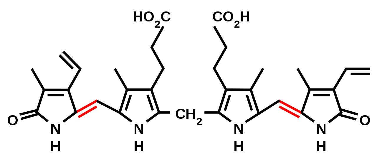 Bile Salts and Bile Pigments - Side by Side Comparison 